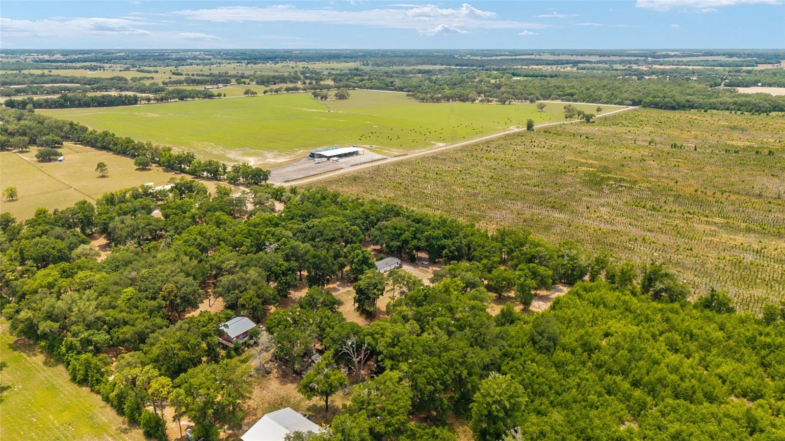 19551 SE 42ND PL, MORRISTON, FL, 32668