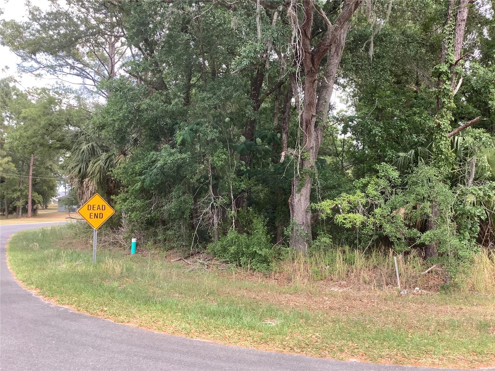 0 BAHIA CIRCLE LN, OCALA, FL, 34472