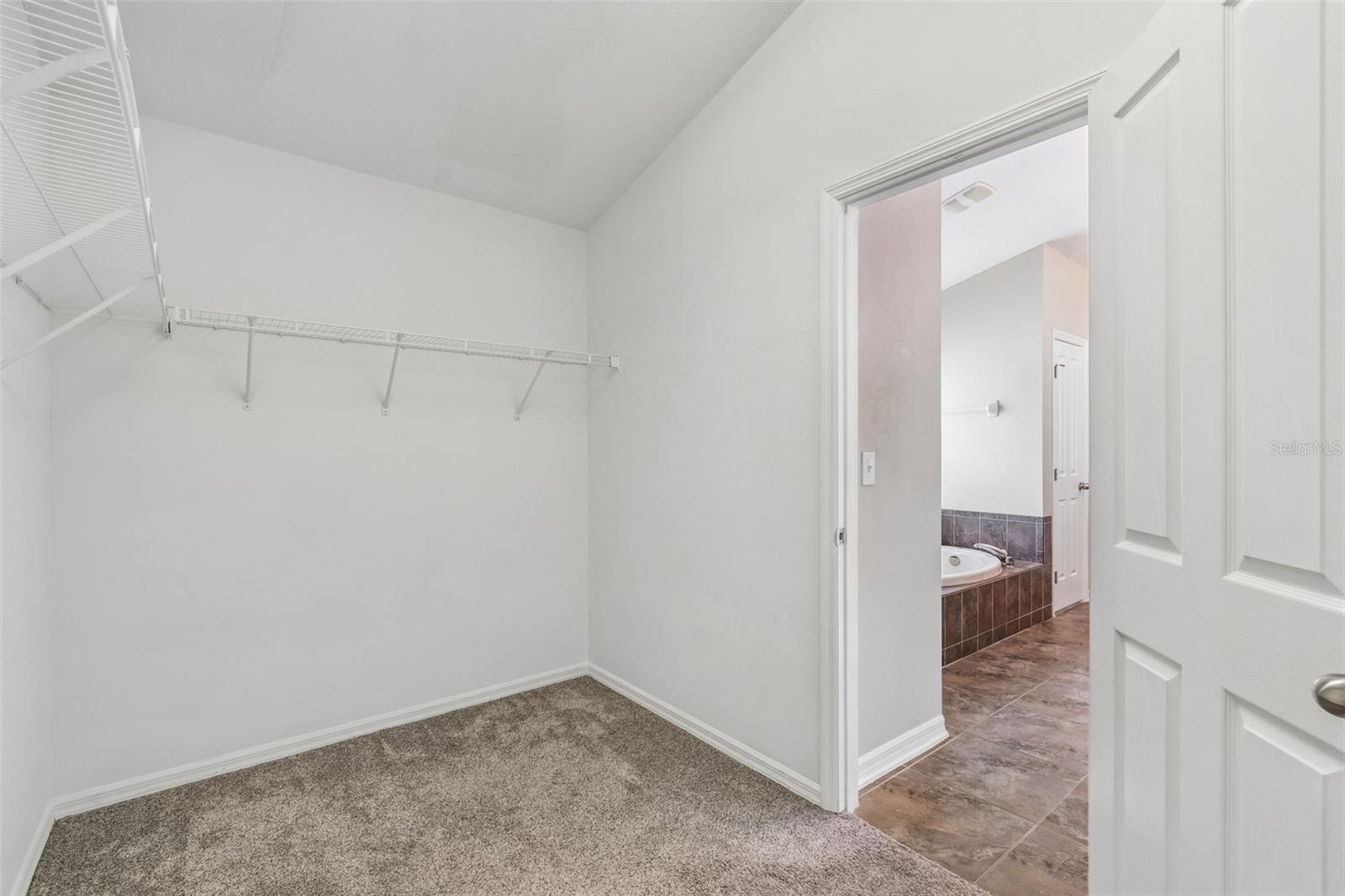 6736 PINE SPRINGS DR, WESLEY CHAPEL, FL, 33545