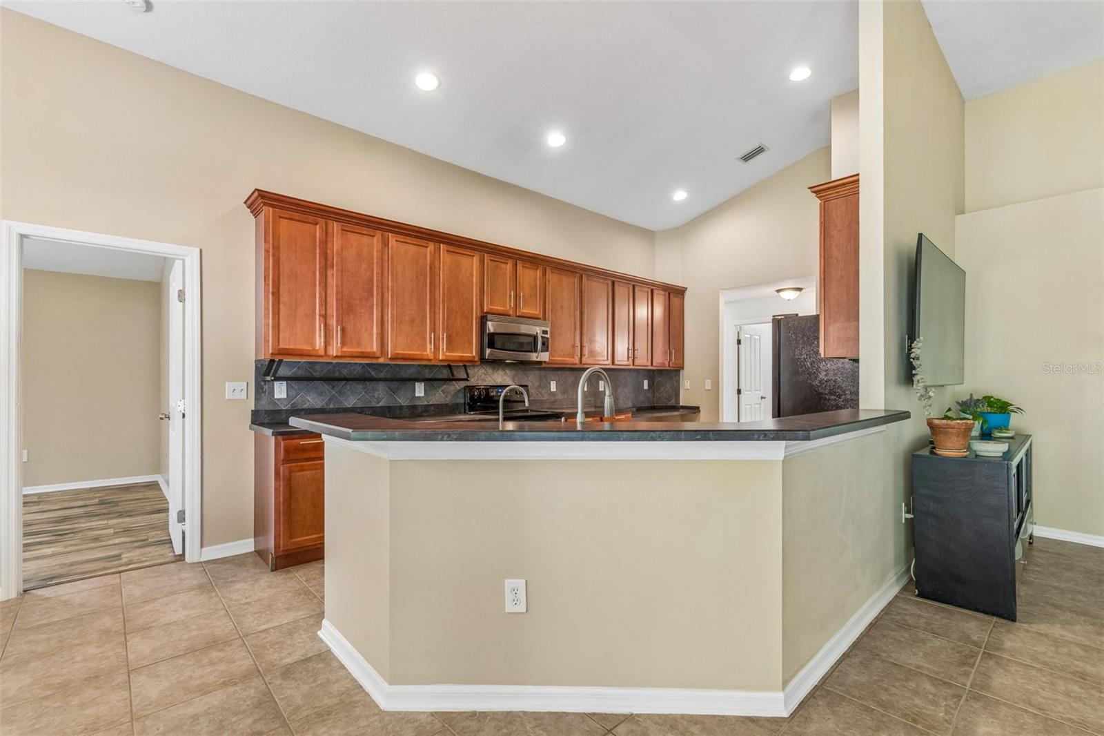 6736 PINE SPRINGS DR, WESLEY CHAPEL, FL, 33545