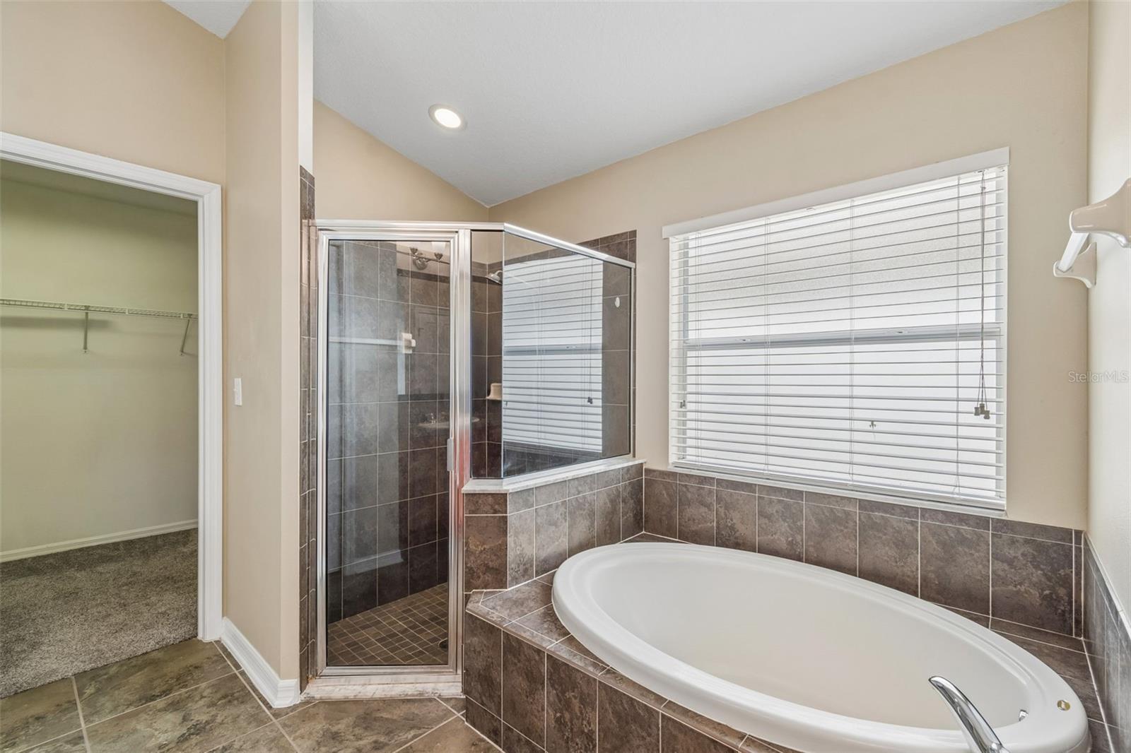 6736 PINE SPRINGS DR, WESLEY CHAPEL, FL, 33545