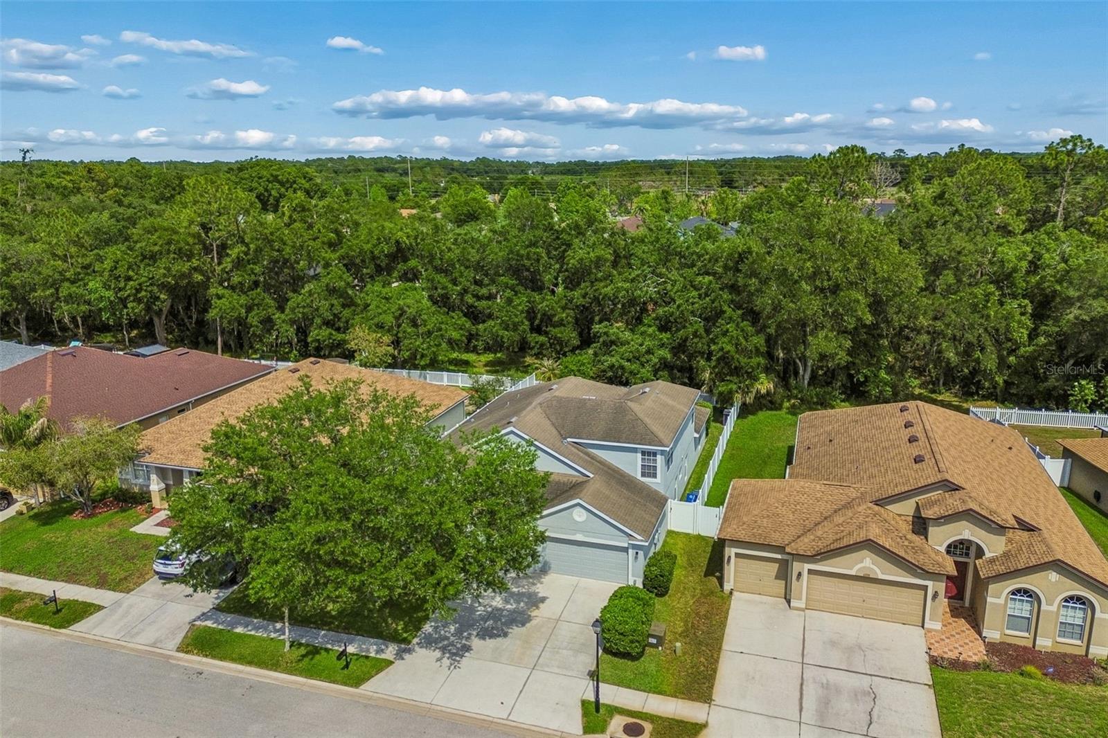 6736 PINE SPRINGS DR, WESLEY CHAPEL, FL, 33545