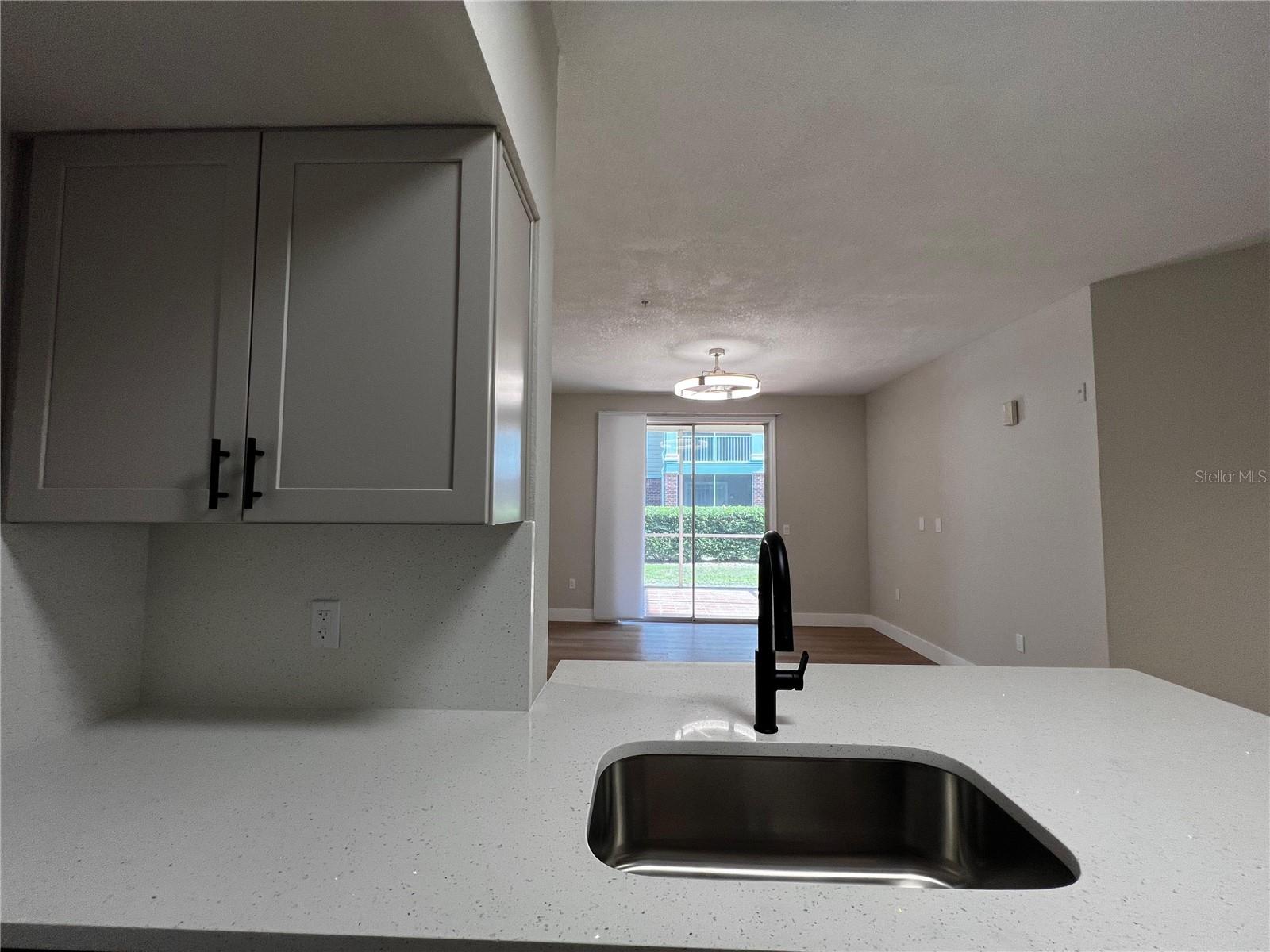 13102 MULBERRY PARK DR #917, ORLANDO, FL, 32821