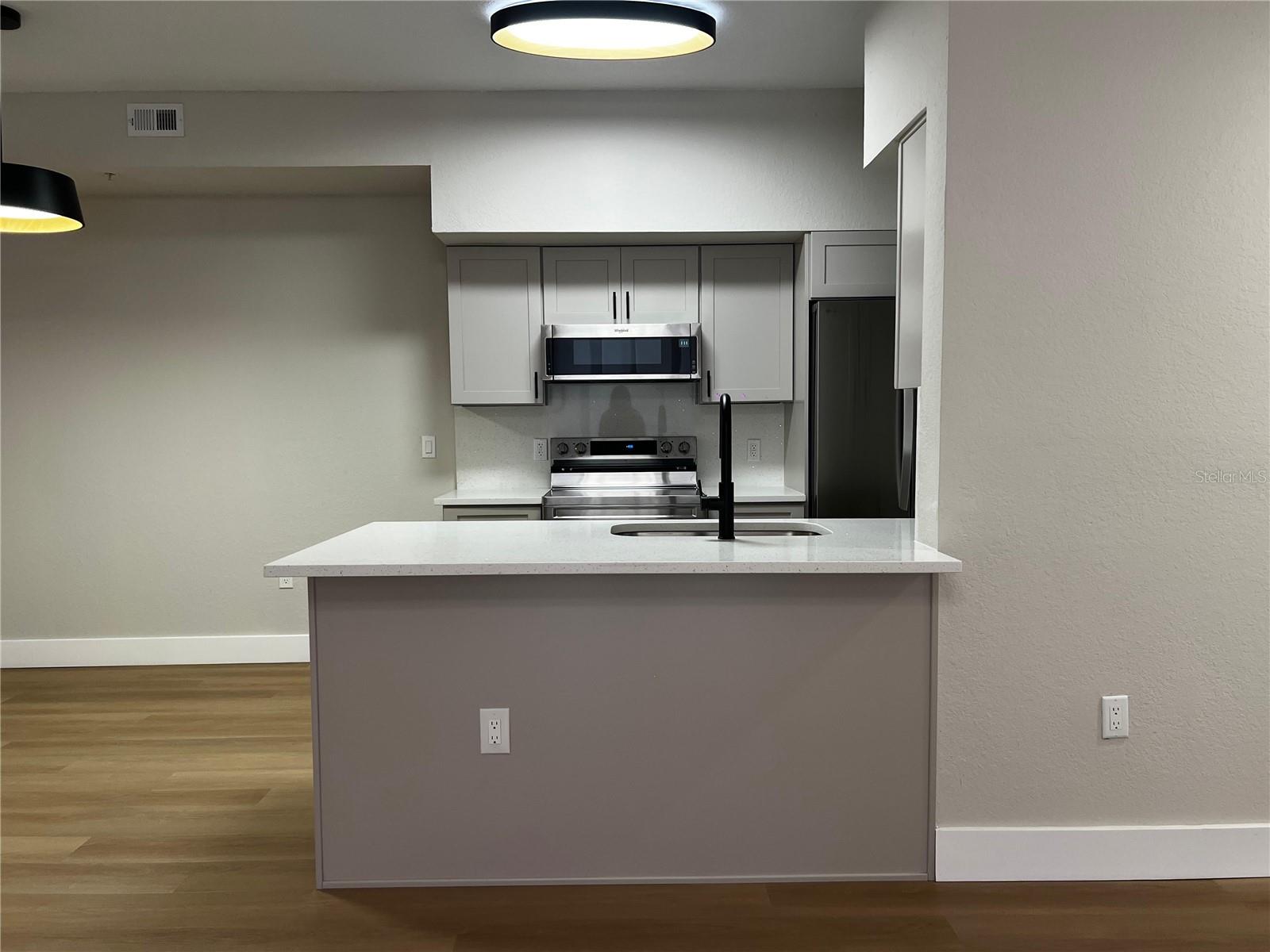 13102 MULBERRY PARK DR #917, ORLANDO, FL, 32821