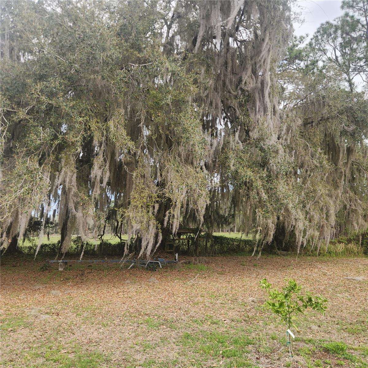 102 EBERHARD AVE, PALATKA, FL, 32177