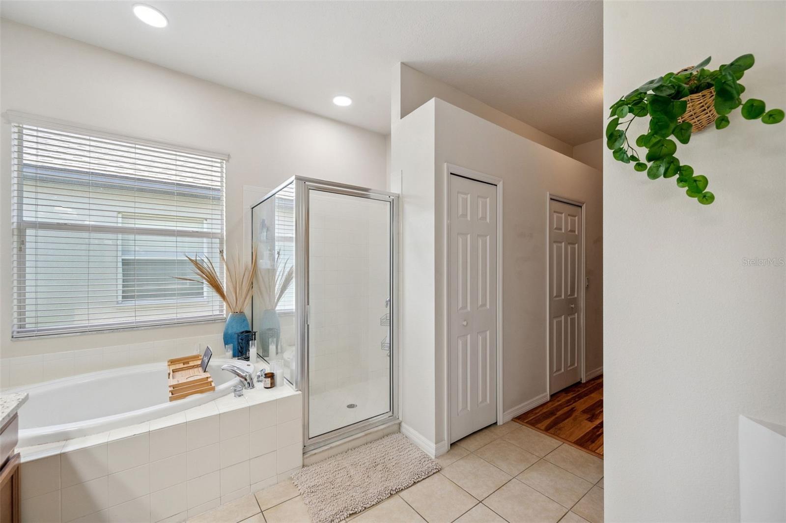 4641 ROLLING GREEN DR, WESLEY CHAPEL, FL, 33543