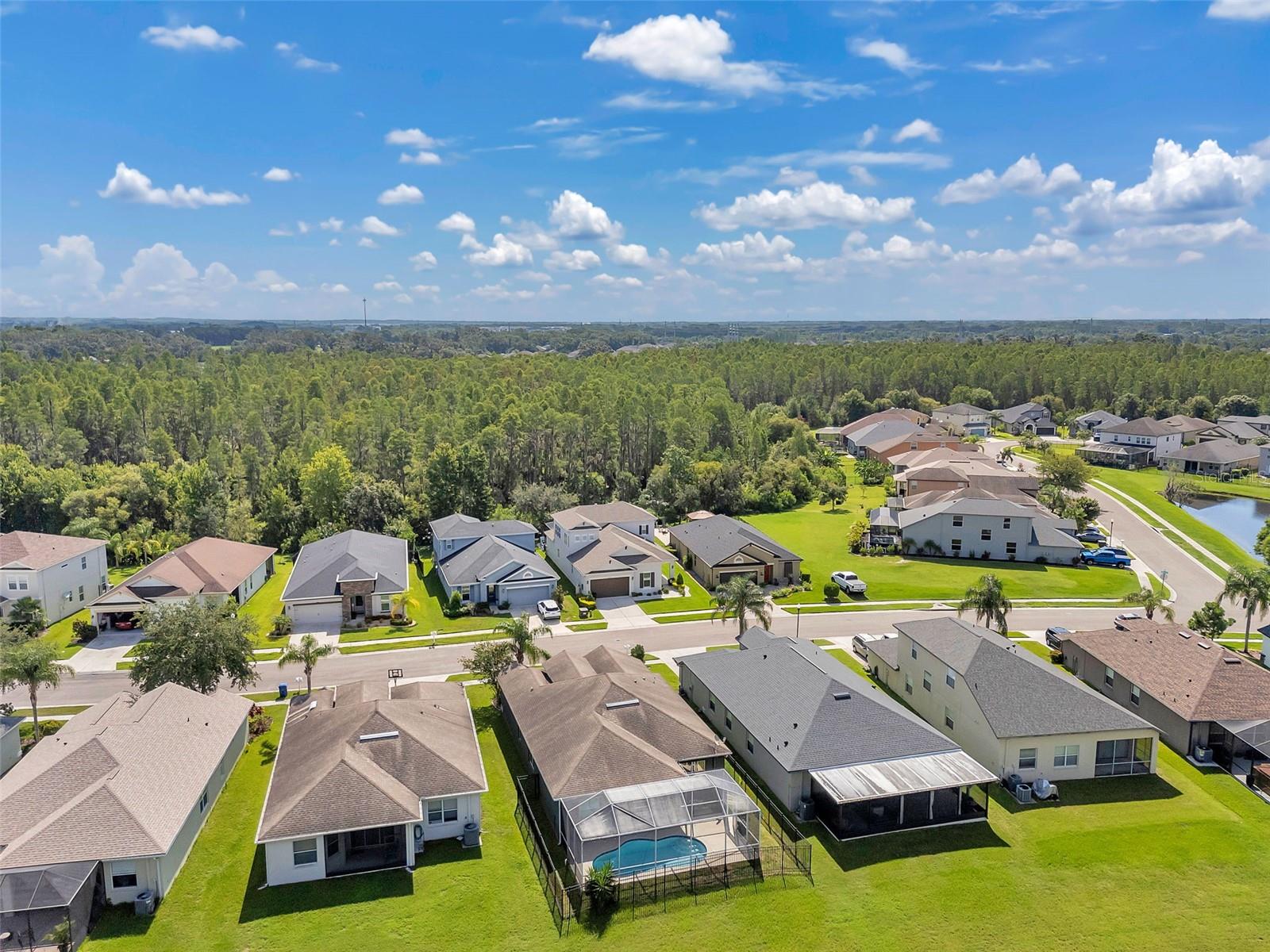 4641 ROLLING GREEN DR, WESLEY CHAPEL, FL, 33543