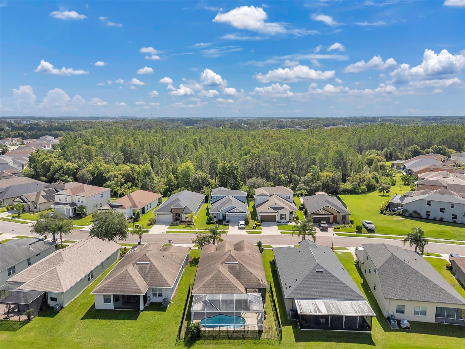 4641 ROLLING GREEN DR, WESLEY CHAPEL, FL, 33543