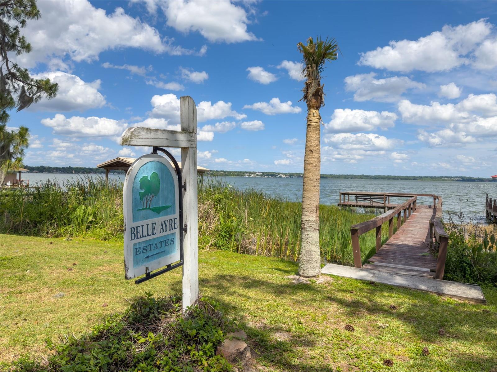 455 BELLE AYRE DR, MOUNT DORA, FL, 32757