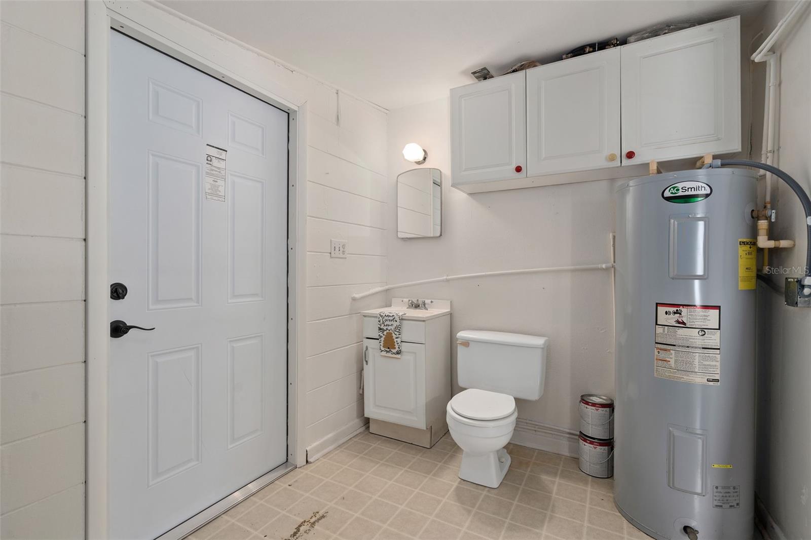 455 BELLE AYRE DR, MOUNT DORA, FL, 32757