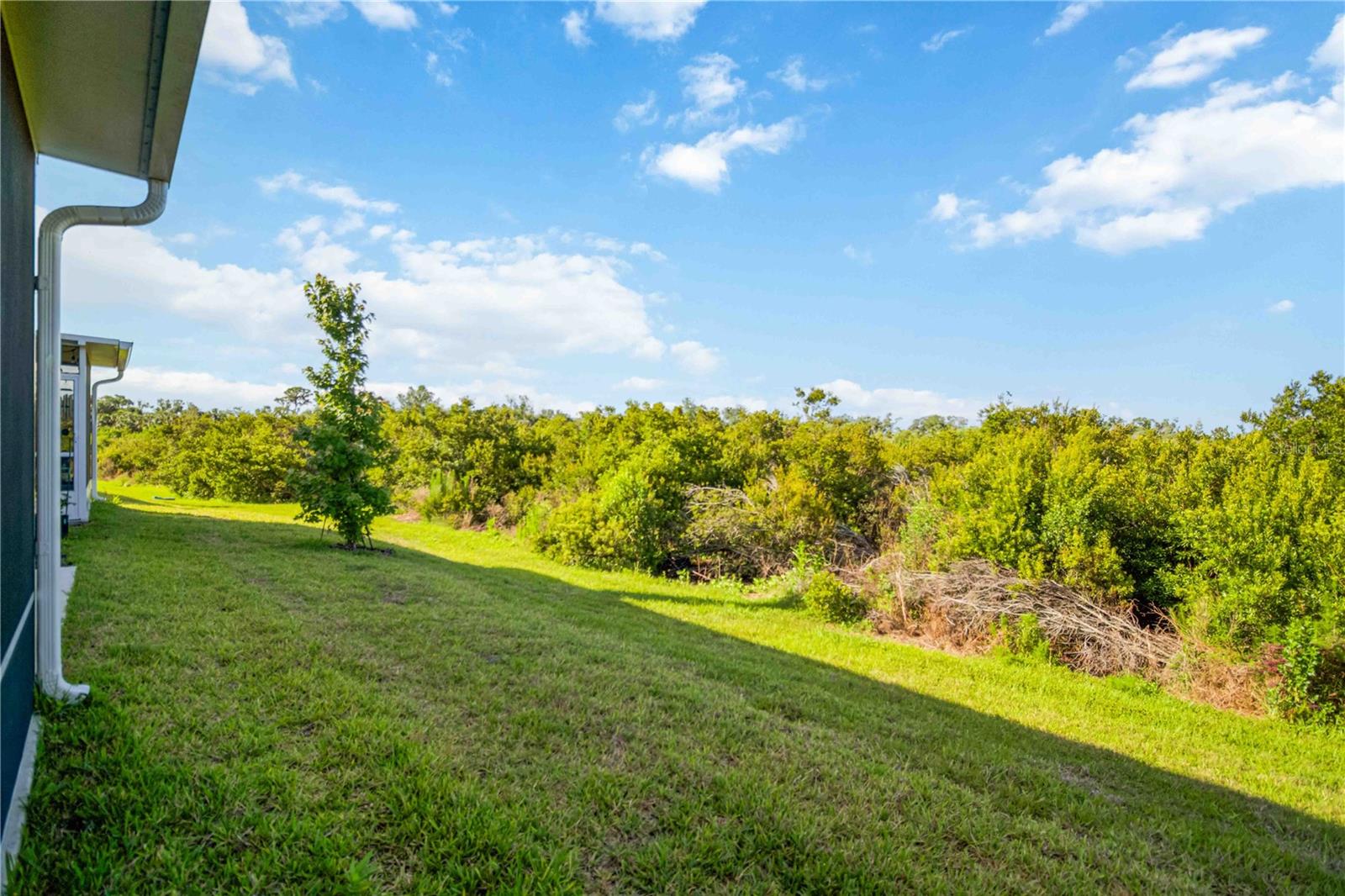 11779 GLENSIDE TER, PALMETTO, FL, 34221