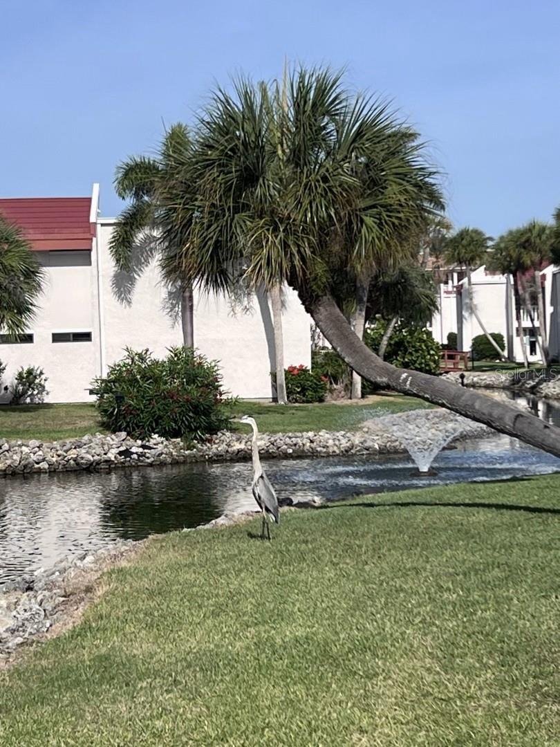 1801 GULF DR N #184, BRADENTON BEACH, FL, 34217