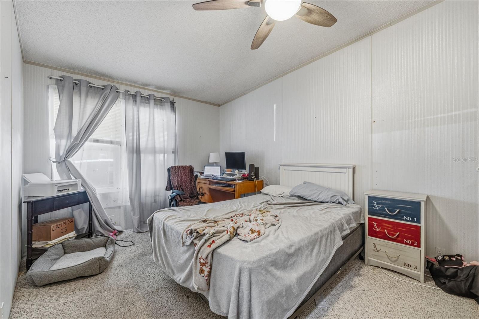 3125 SHORT LEAF ST, WESLEY CHAPEL, FL, 33543