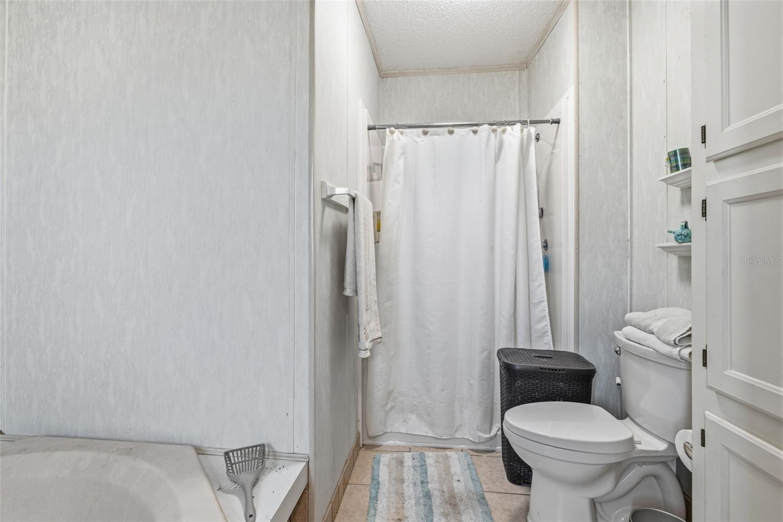 3125 SHORT LEAF ST, WESLEY CHAPEL, FL, 33543