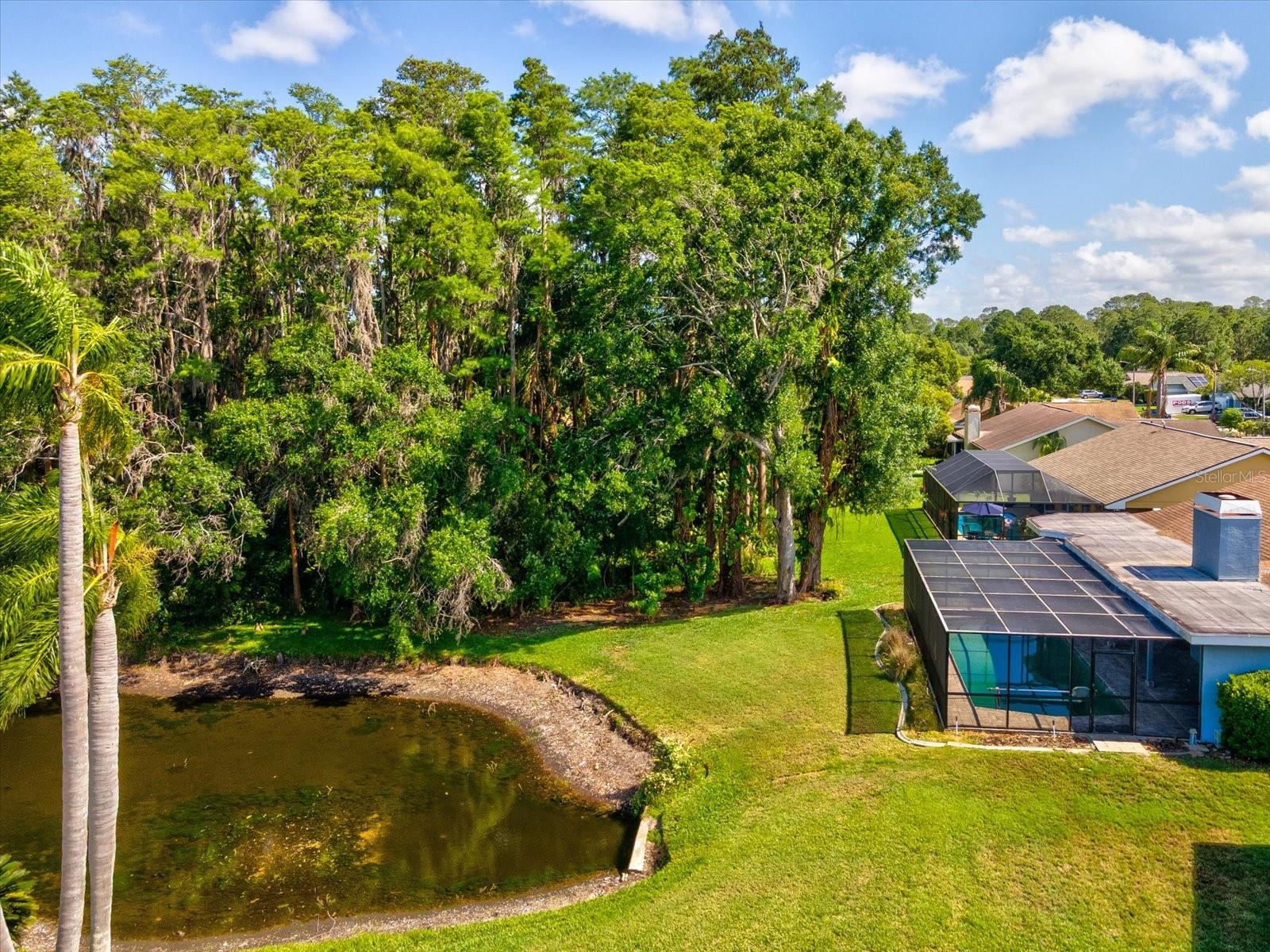 3827 WATSON DR, NEW PORT RICHEY, FL, 34655