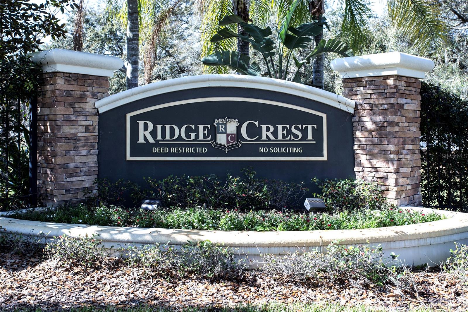 1319 ROWANTREE DR, DOVER, FL, 33527