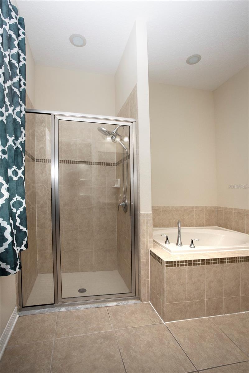 1319 ROWANTREE DR, DOVER, FL, 33527