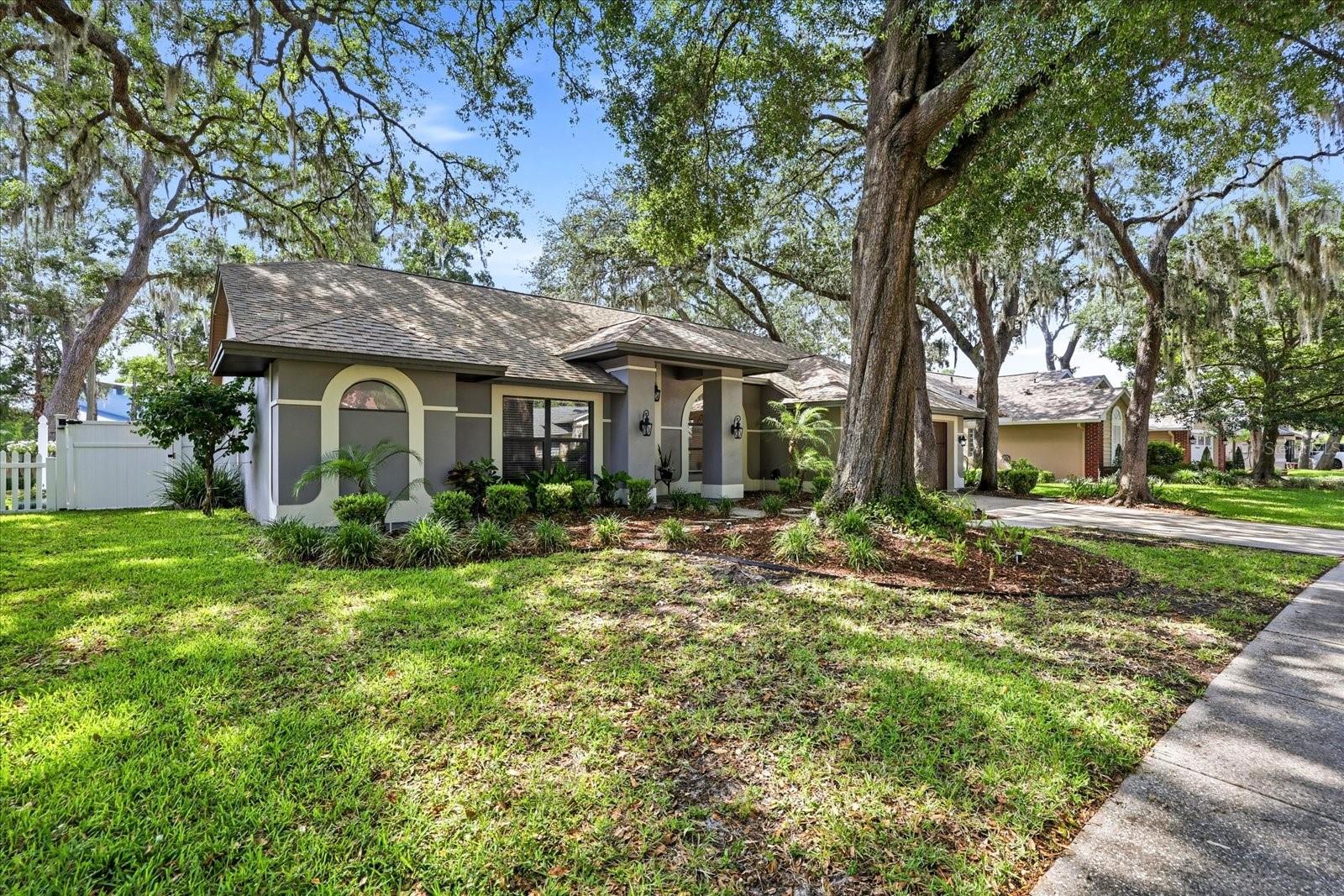 1445 WATERWOOD DR, LUTZ, FL, 33559