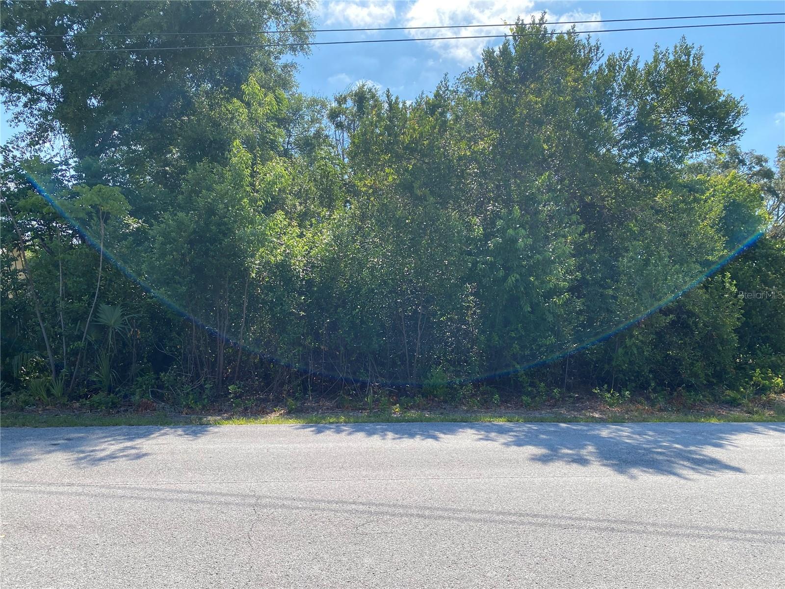 GATEWOOD AVE, SPRING HILL, FL, 34608
