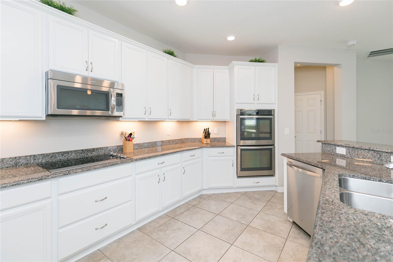 11516 LUCKYGEM DR, RIVERVIEW, FL, 33579