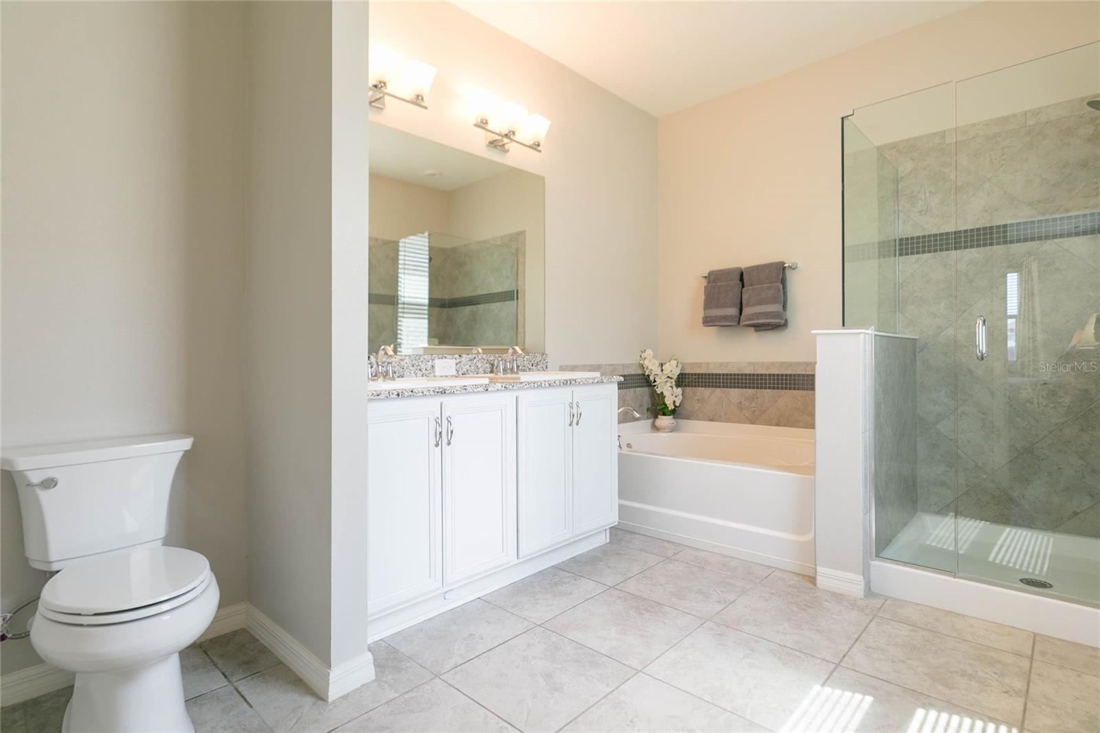 11516 LUCKYGEM DR, RIVERVIEW, FL, 33579