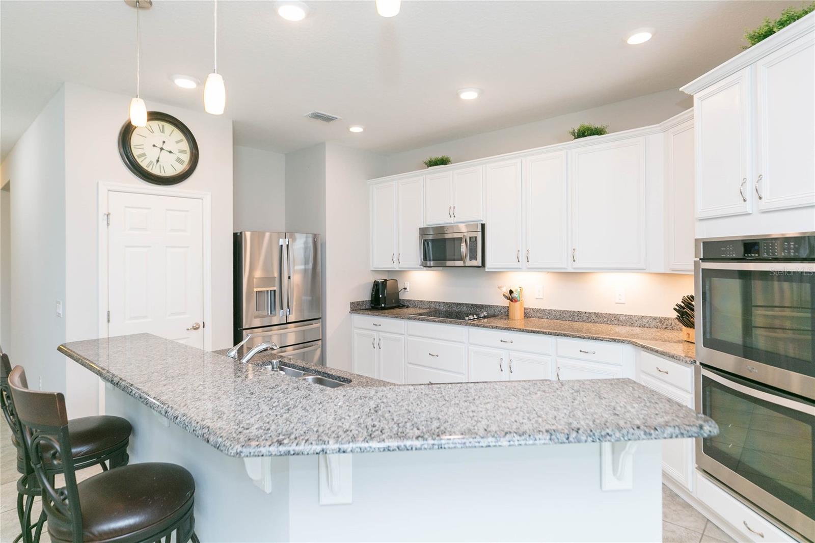 11516 LUCKYGEM DR, RIVERVIEW, FL, 33579
