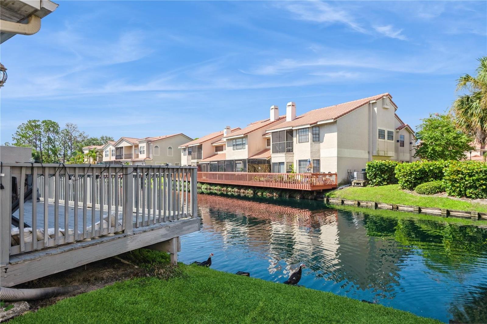 10422 LA MIRAGE CT, TAMPA, FL, 33615