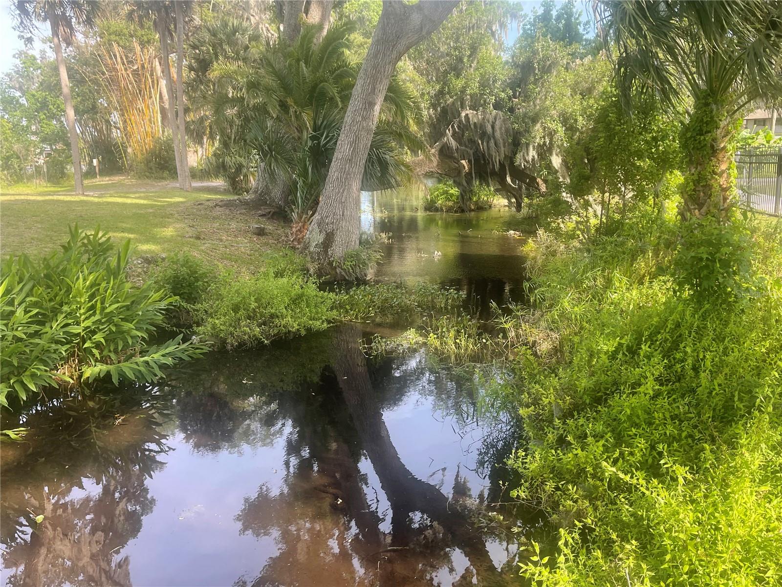 23 LONESOME PINE TRL, YALAHA, FL, 34797