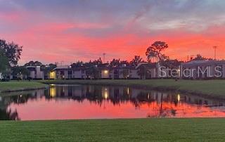 107 LAKEVIEW PL #7, OLDSMAR, FL, 34677
