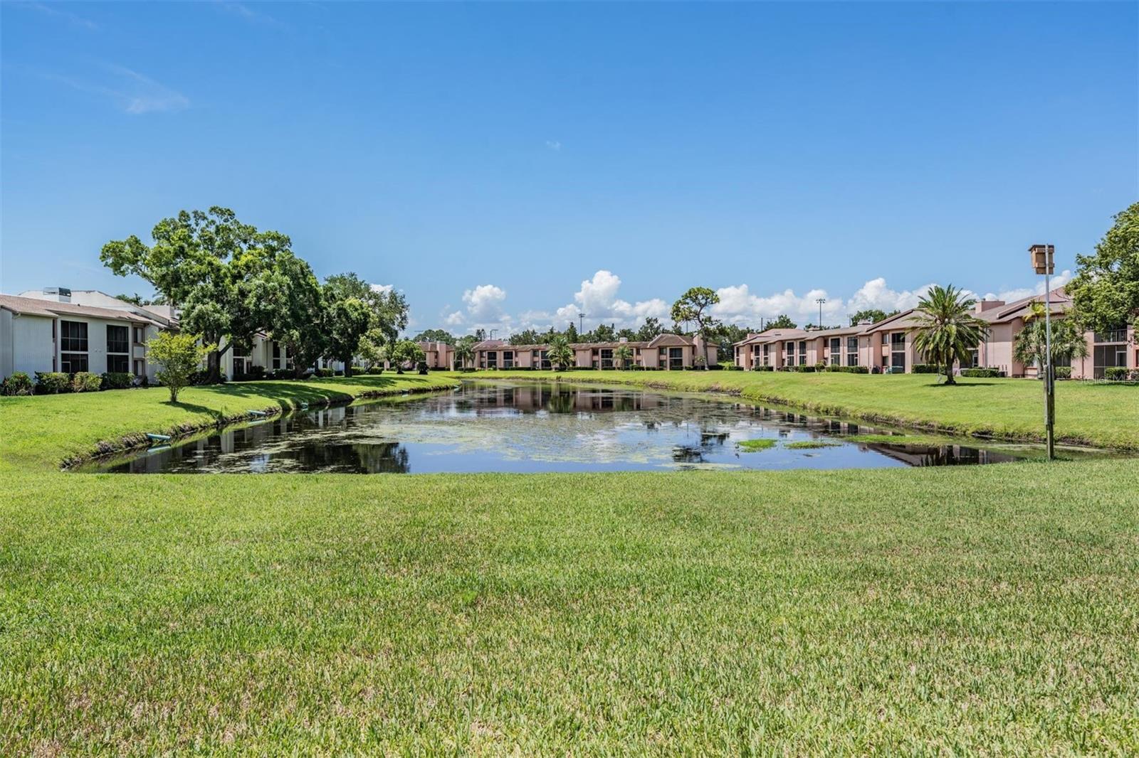107 LAKEVIEW PL #7, OLDSMAR, FL, 34677