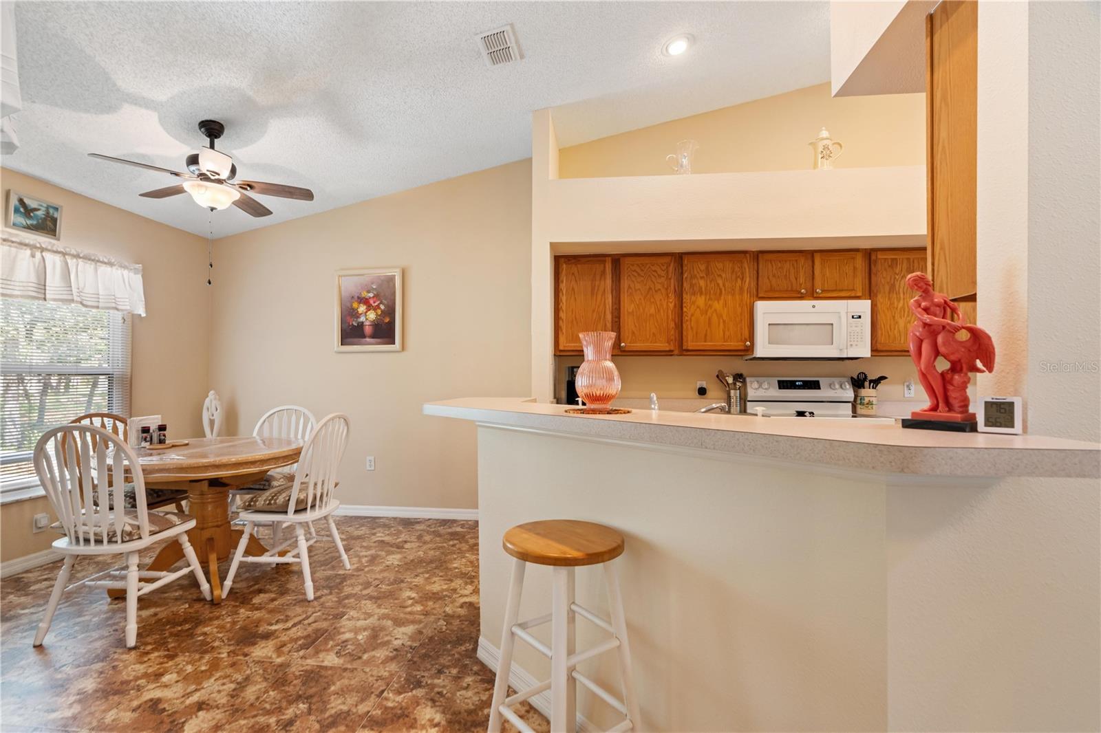 409 CANDLESTONE CT, SPRING HILL, FL, 34609