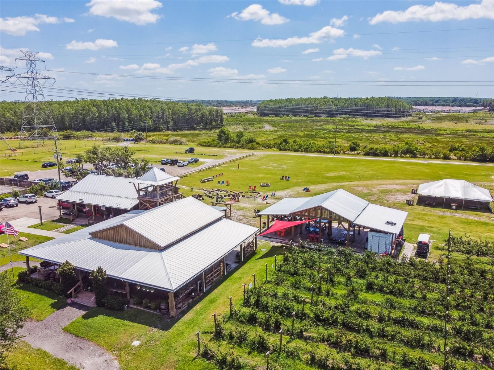 13218 BATTEN LN, ODESSA, FL, 33556