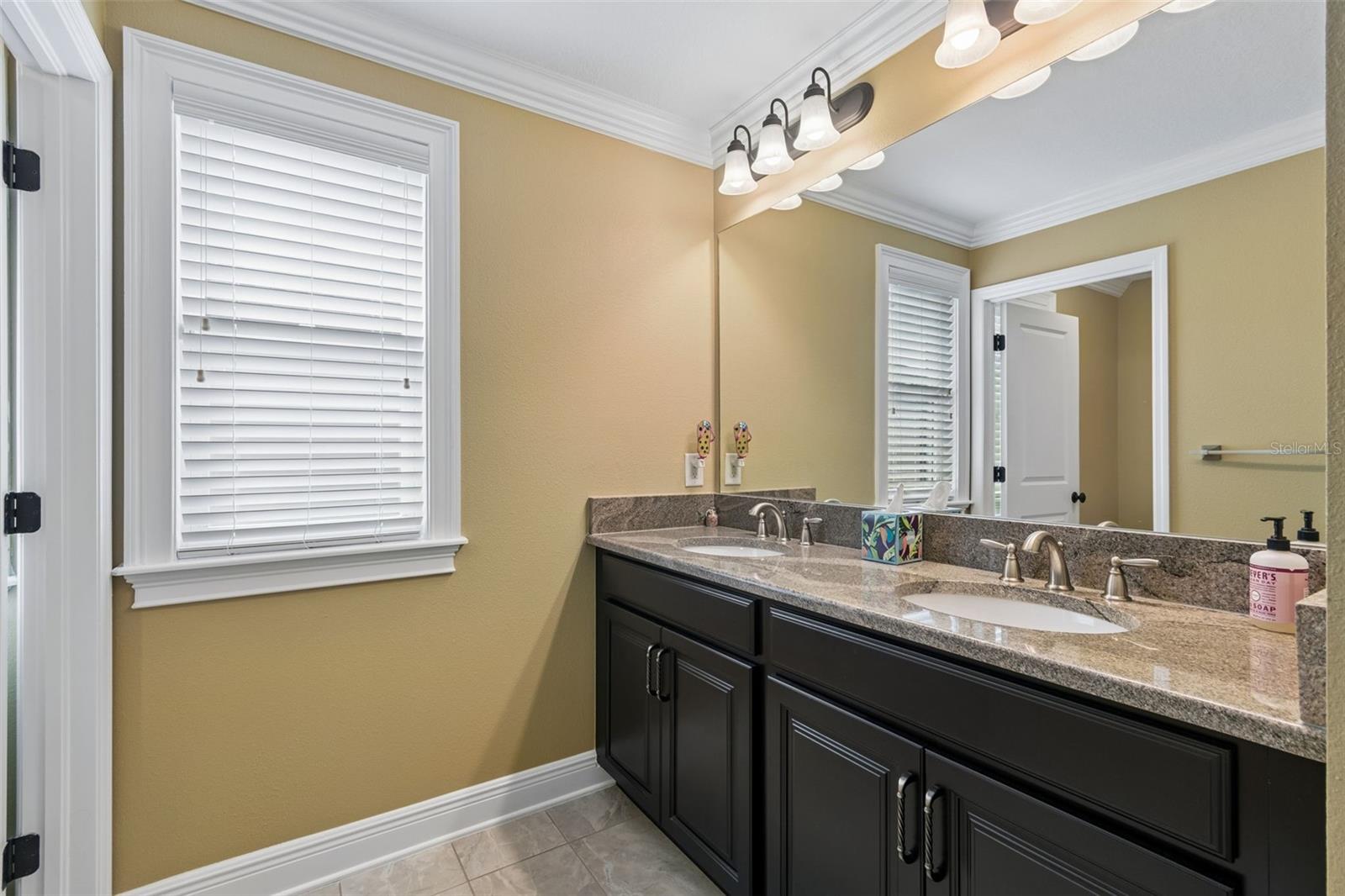 13218 BATTEN LN, ODESSA, FL, 33556