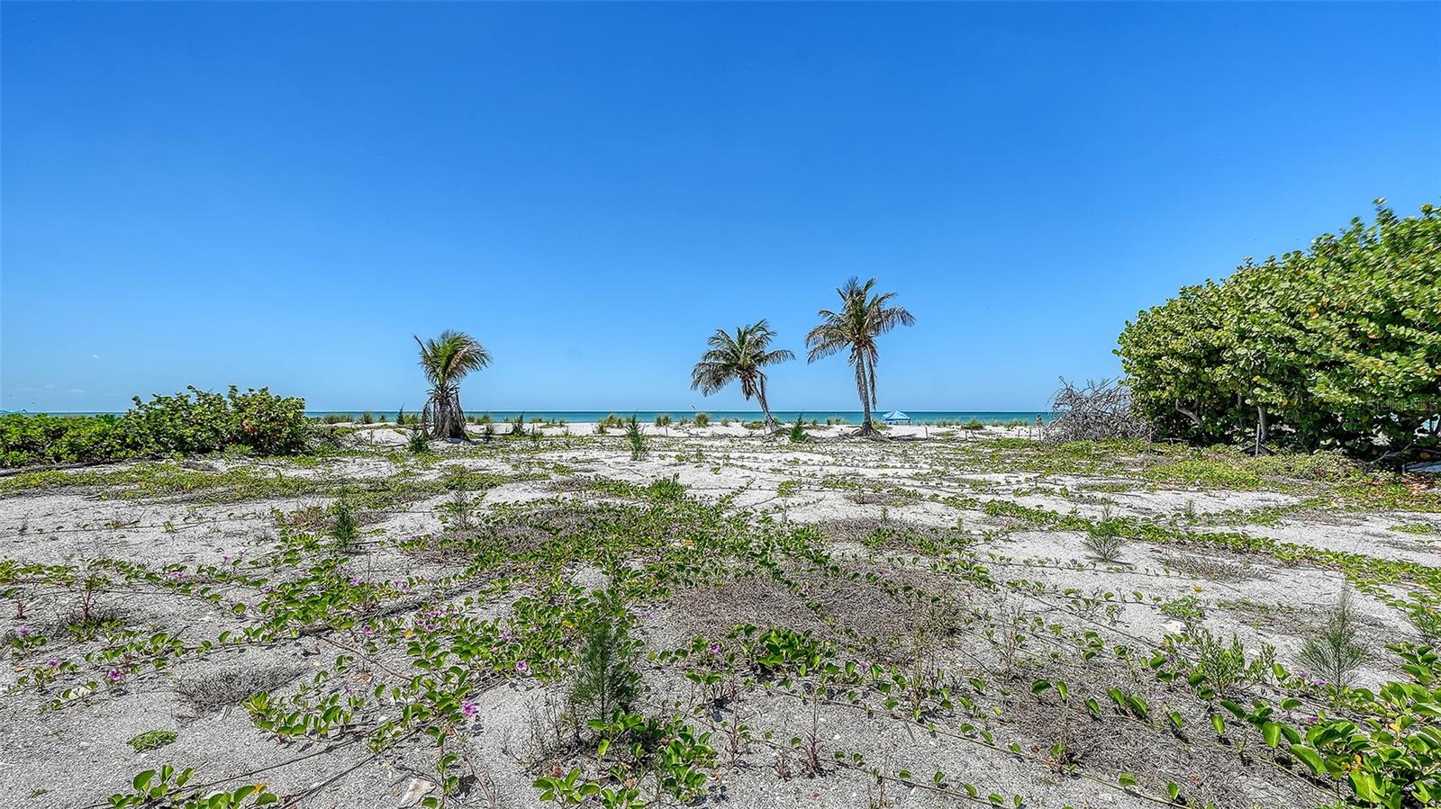 6441 GULFSIDE RD, LONGBOAT KEY, FL, 34228