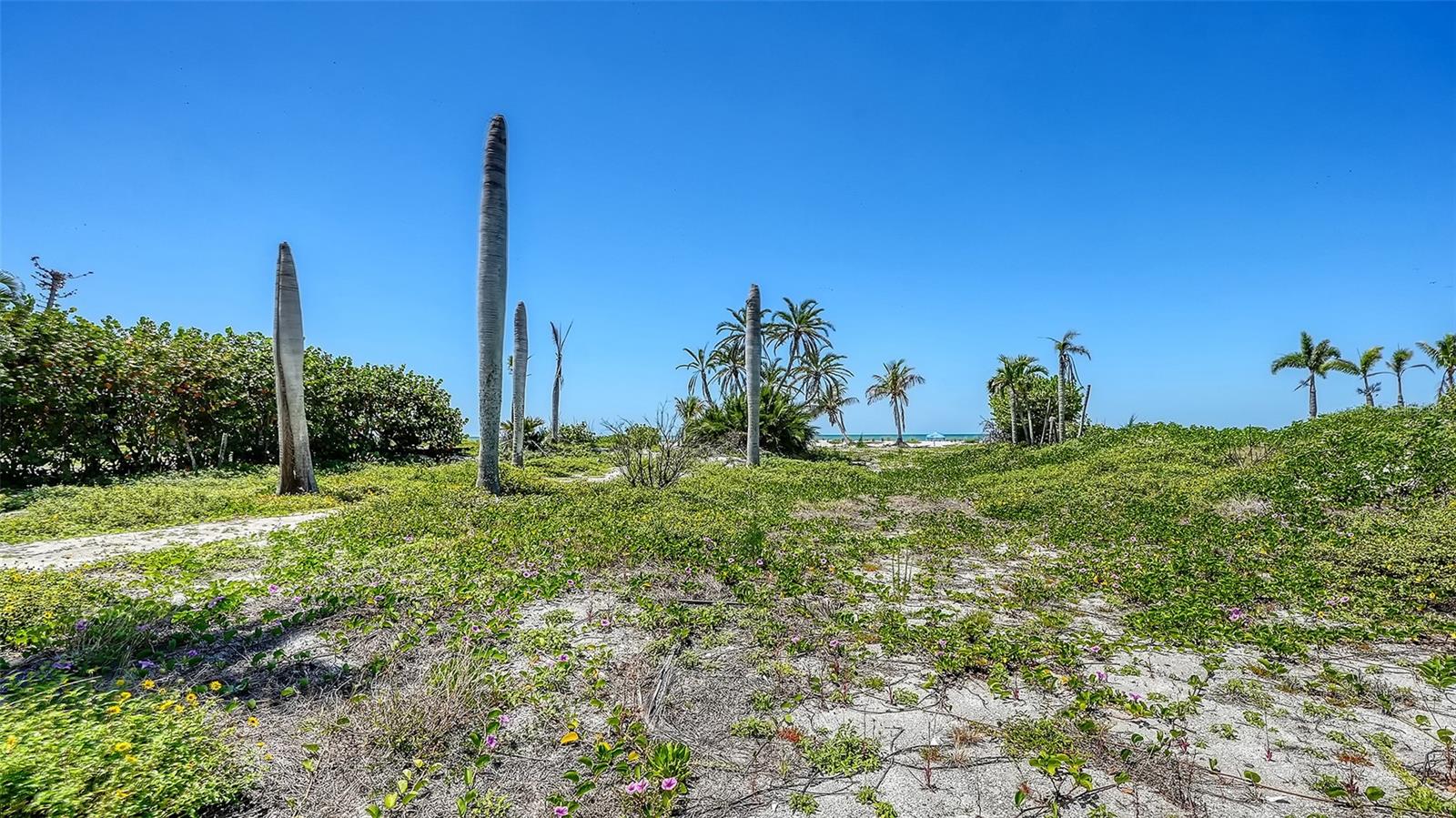 6441 GULFSIDE RD, LONGBOAT KEY, FL, 34228