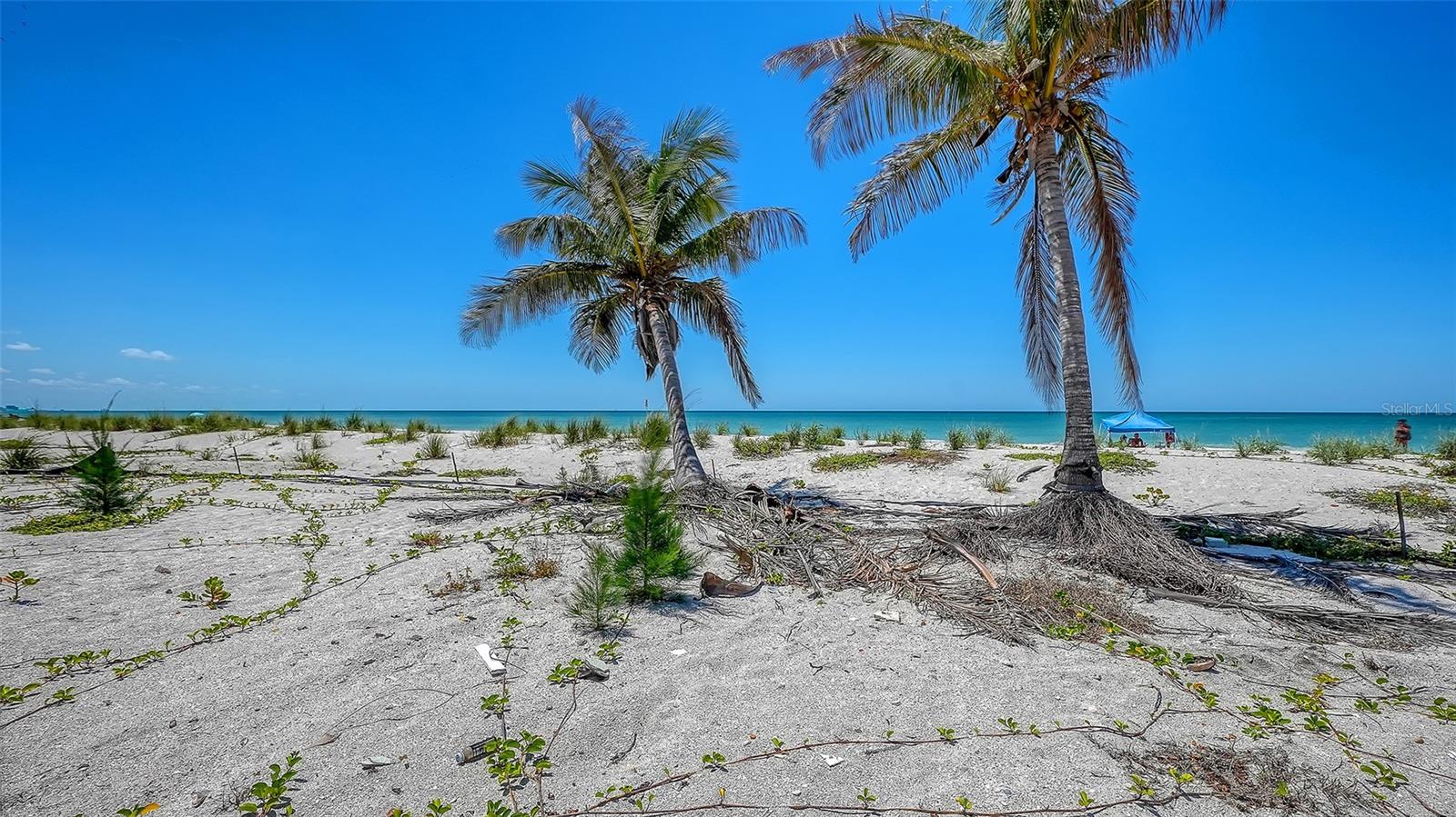 6441 GULFSIDE RD, LONGBOAT KEY, FL, 34228