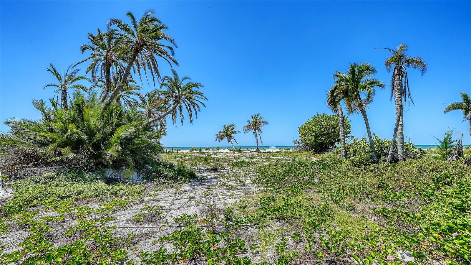 6441 GULFSIDE RD, LONGBOAT KEY, FL, 34228