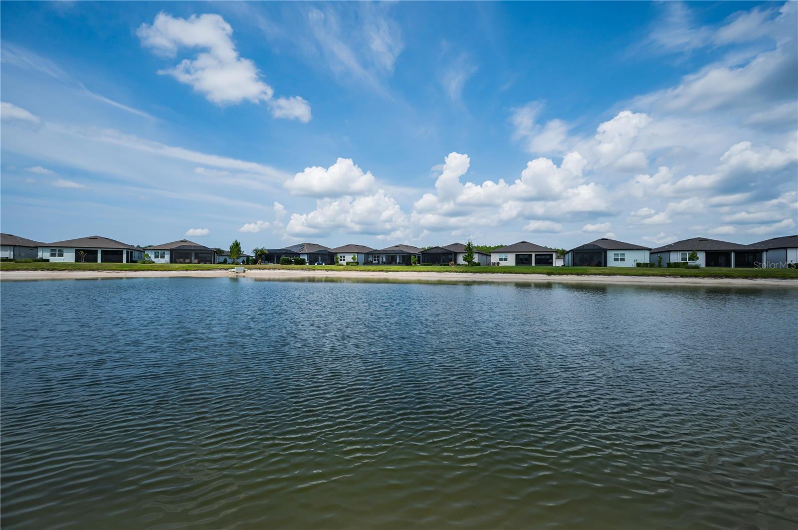 6040 SHOREBIRD BR, LAND O LAKES, FL, 34638