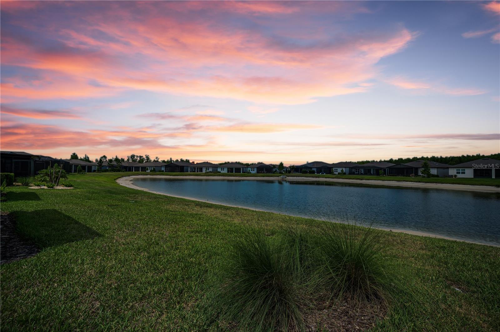 6040 SHOREBIRD BR, LAND O LAKES, FL, 34638
