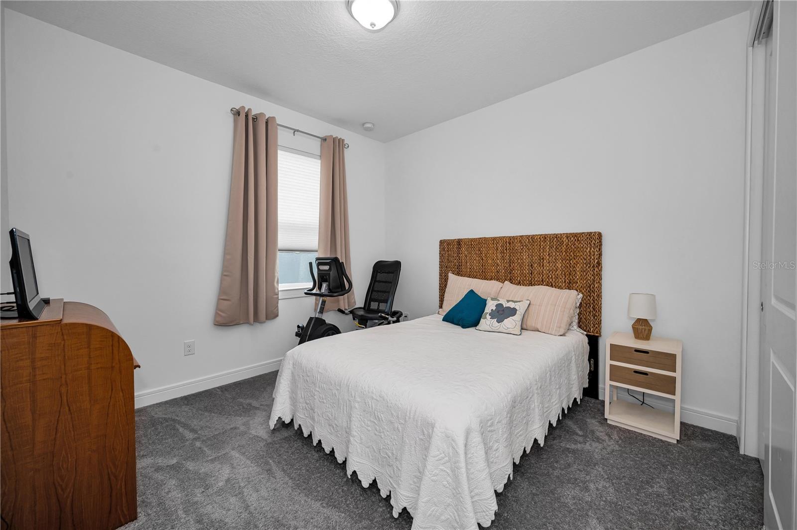 6040 SHOREBIRD BR, LAND O LAKES, FL, 34638