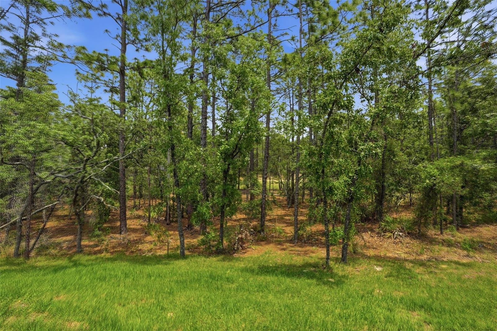 39 MILBARK DR, HOMOSASSA, FL, 34446