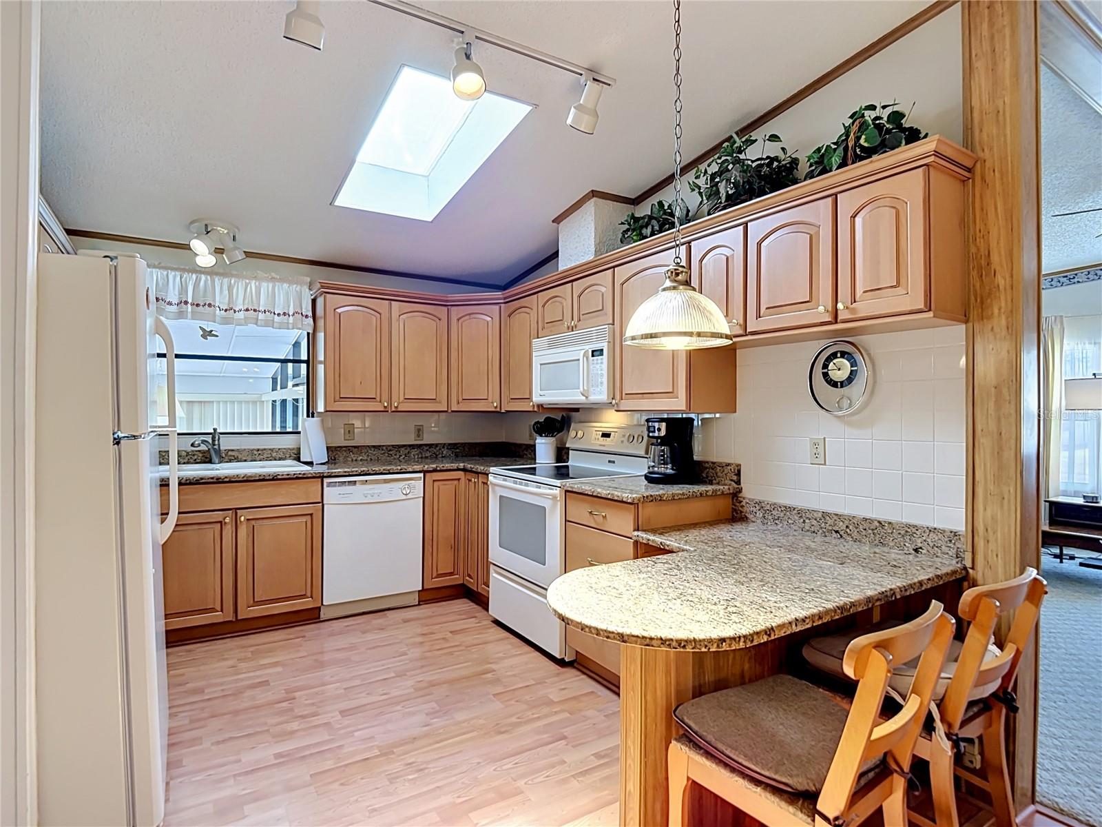 35801 BRISA DR, ZEPHYRHILLS, FL, 33541