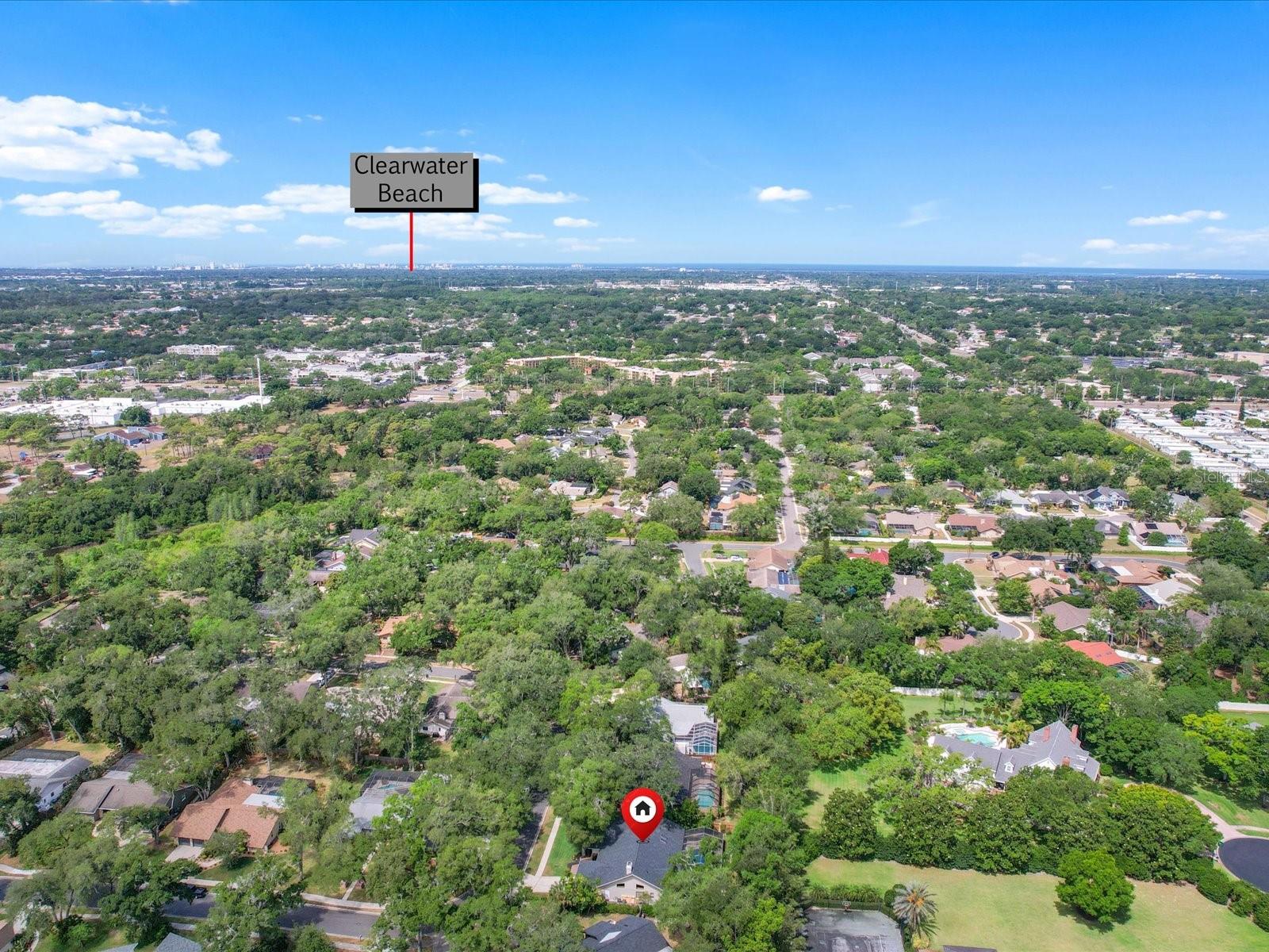 1713 TALL PINE CIR, SAFETY HARBOR, FL, 34695
