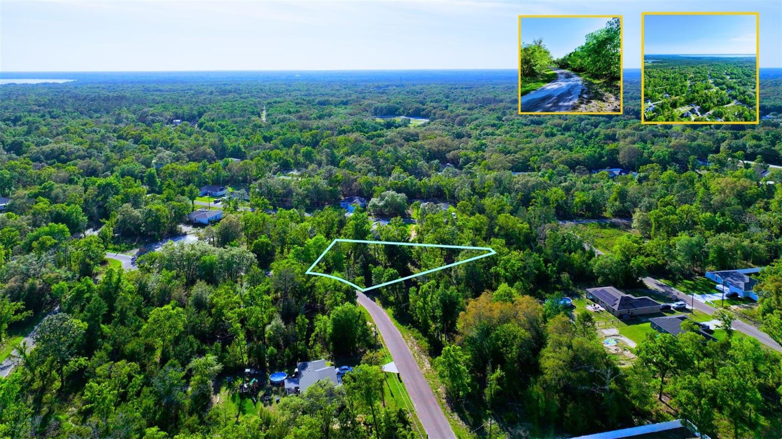 TBD FISHER LN WAY, OCKLAWAHA, FL, 32179
