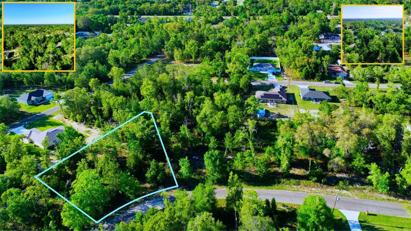 TBD FISHER LN WAY, OCKLAWAHA, FL, 32179