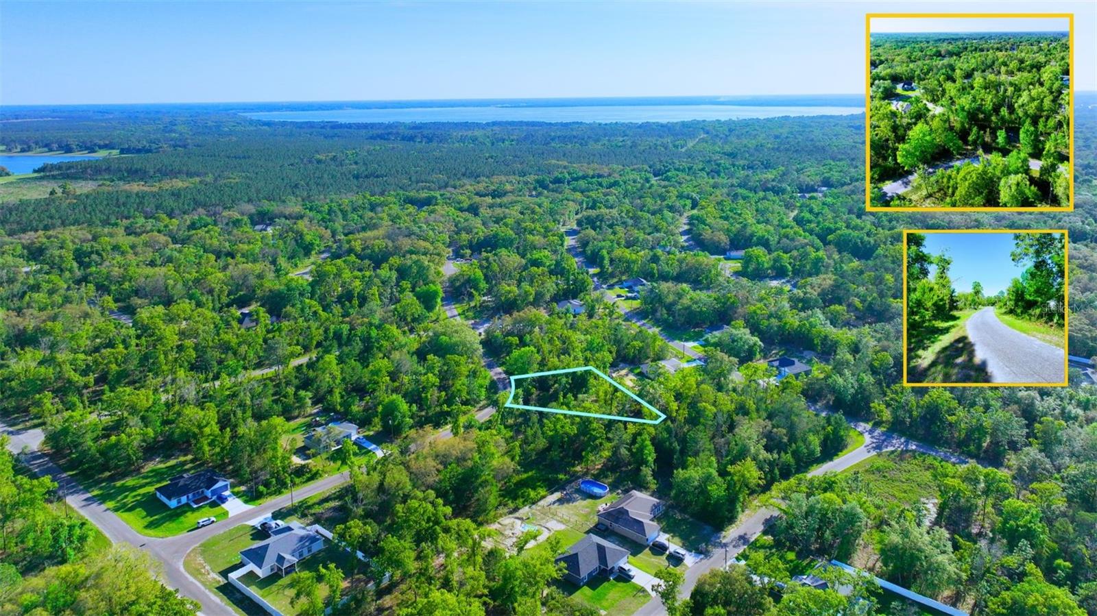 TBD FISHER LN WAY, OCKLAWAHA, FL, 32179