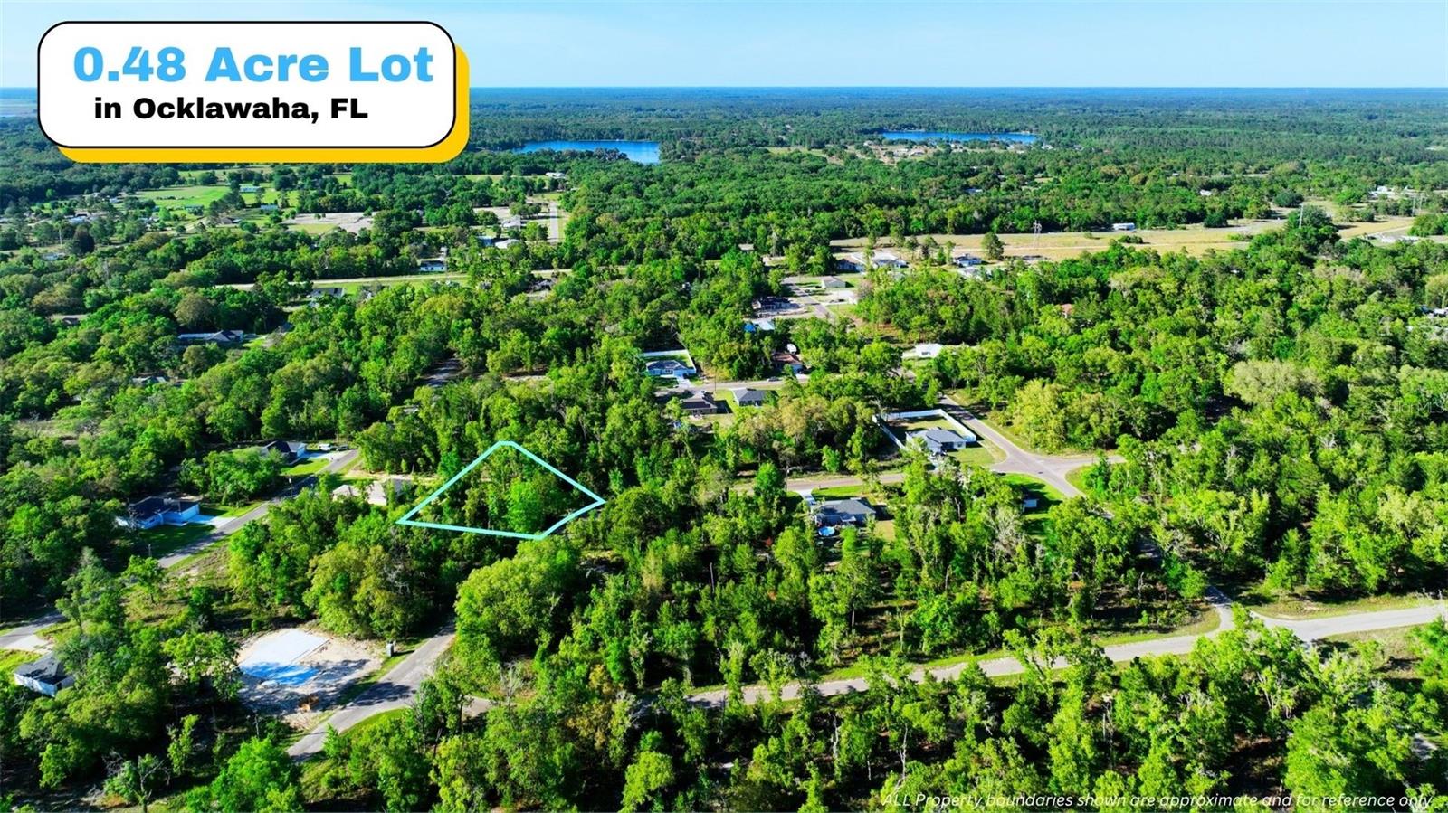 TBD FISHER LN WAY, OCKLAWAHA, FL, 32179