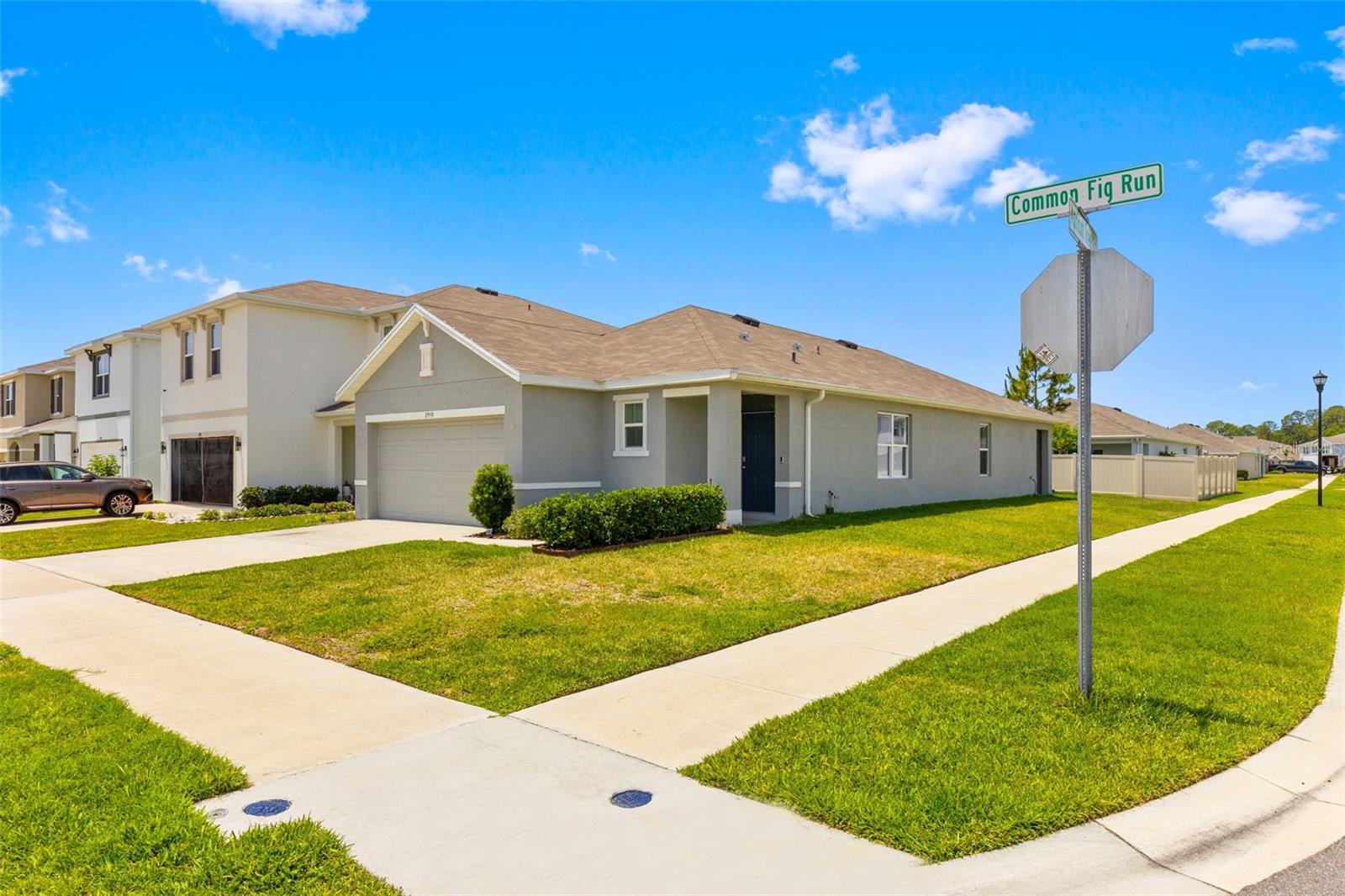 2959 COMMON FIG RUN, WESLEY CHAPEL, FL, 33543