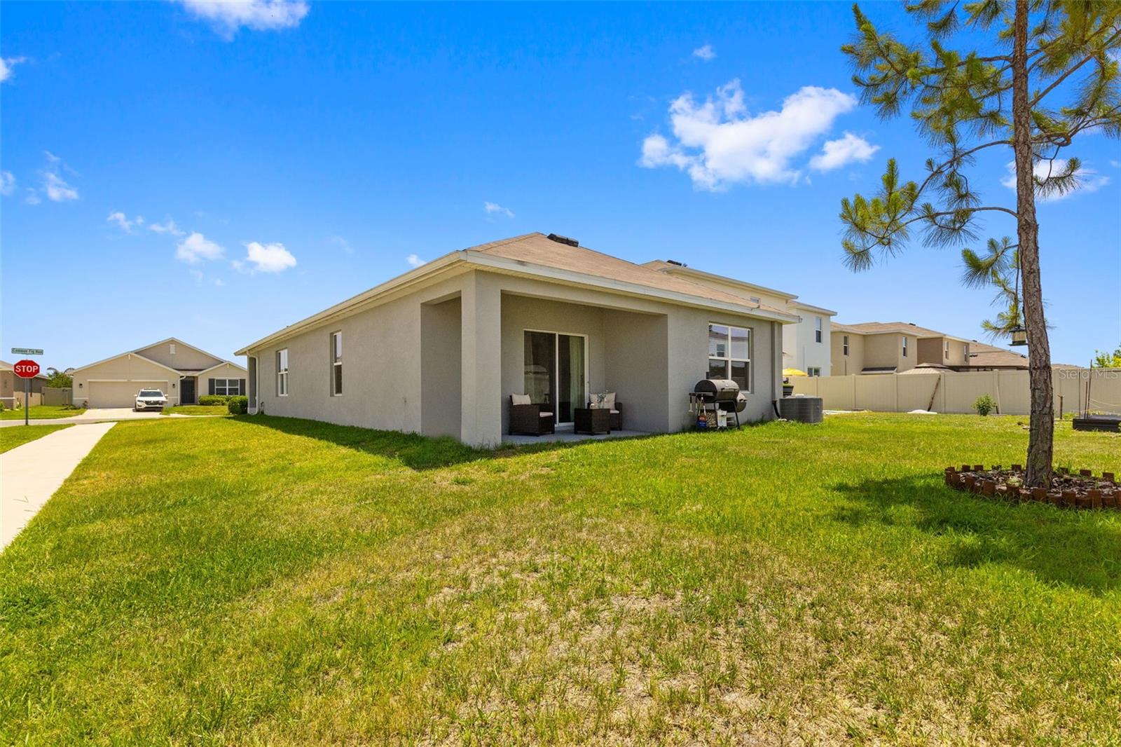 2959 COMMON FIG RUN, WESLEY CHAPEL, FL, 33543
