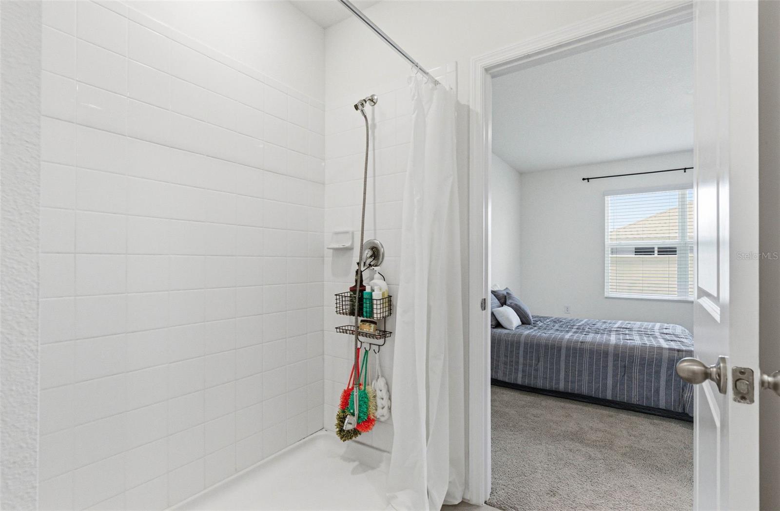 2959 COMMON FIG RUN, WESLEY CHAPEL, FL, 33543